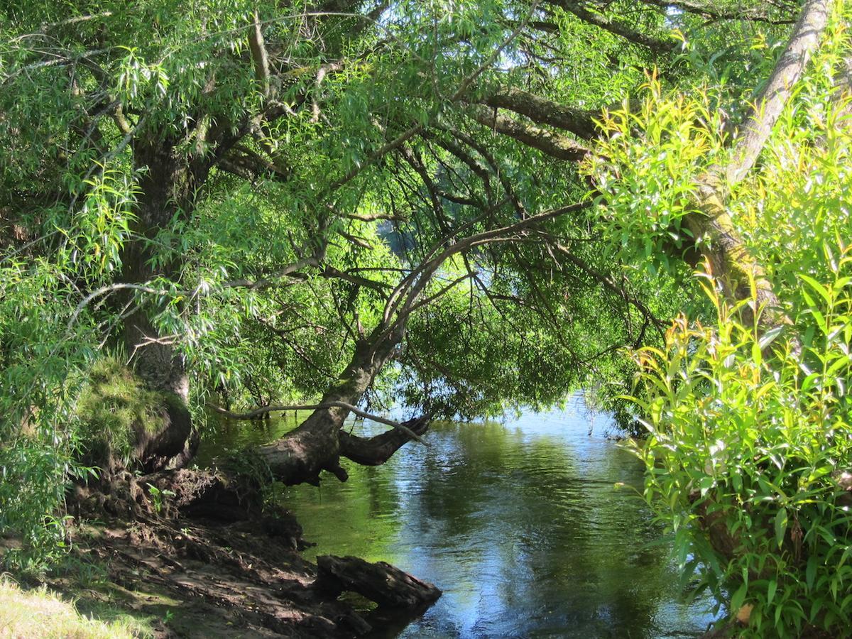 On The River Tamahere Exterior foto